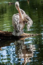 末日生存游戏《无感染区》EA版本宣布4月12日发售